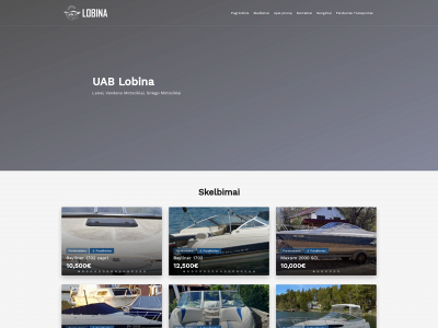 lobina.lt snapshot