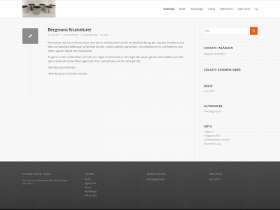 bergmanskrumelurer.se snapshot