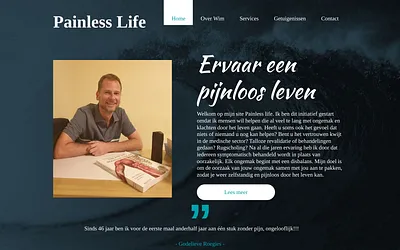 painlesslife.be snapshot
