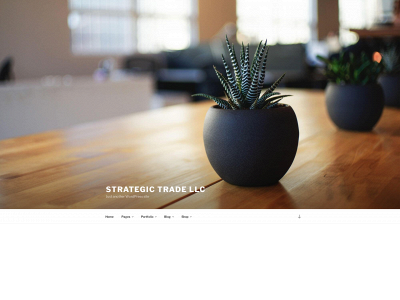 strategictrade.us snapshot