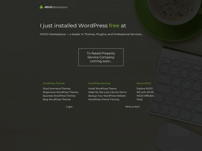 blurhinoservices.com snapshot