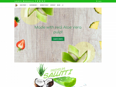www.saluttiusa.com snapshot