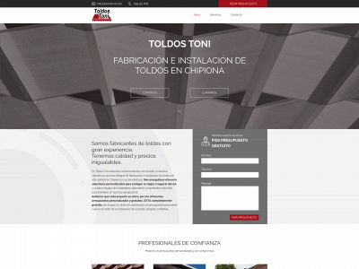 toldostonichipiona.com snapshot