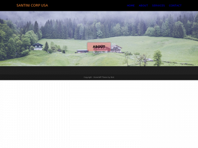 santinicorpusa.net snapshot