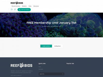 reefbids.co.uk snapshot
