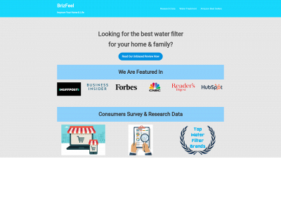 brizfeel.com snapshot
