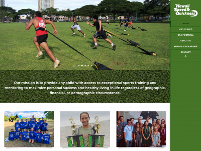 hawaiispeedandquickness.com snapshot