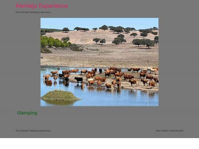 alentejo-experience.com snapshot