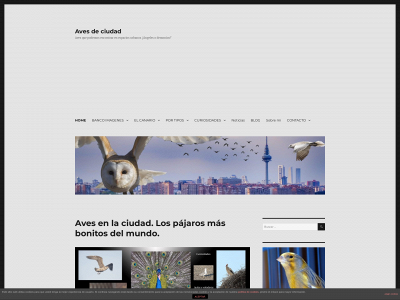 avesdeciudad.com snapshot