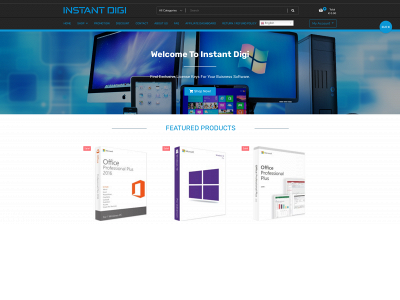 instantdigi.com snapshot