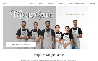 magicgenieservices.ca snapshot