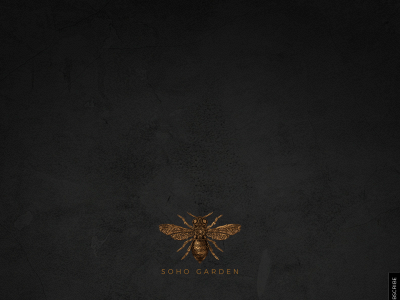 sohogardendxb.com snapshot