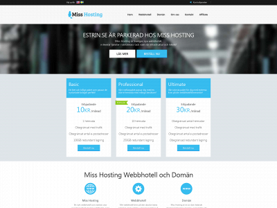 estrin.se snapshot