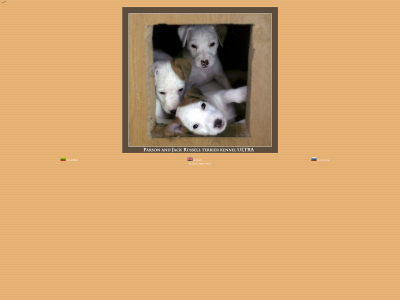 parson-jack-russell.lt snapshot