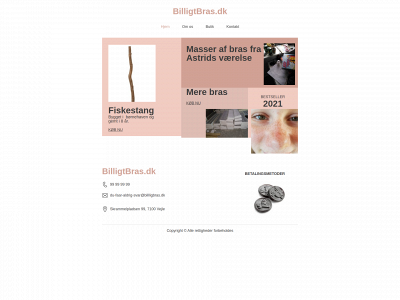 billigbras.dk snapshot
