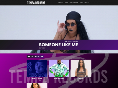 temrarecords.com snapshot