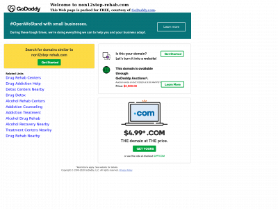 non12step-rehab.com snapshot