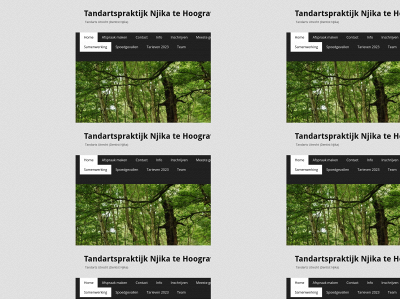 tandartspraktijknjika.nl snapshot
