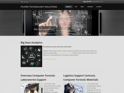 fflpro.com snapshot