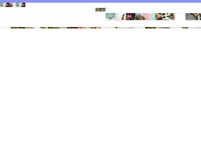 thegraytimes.com snapshot
