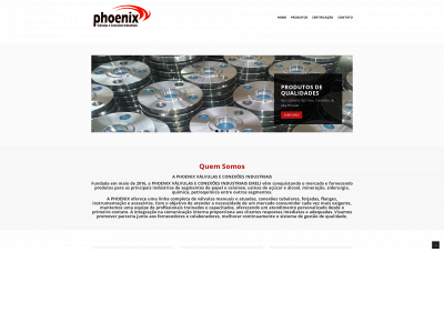 phoenixconexoes.com.br snapshot