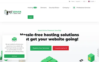 meserver.net snapshot