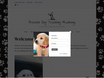 preciousdogtrainingacademy.com snapshot
