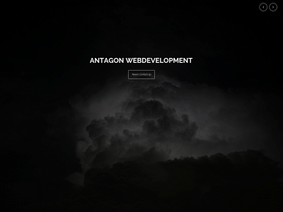 antagon.nl snapshot