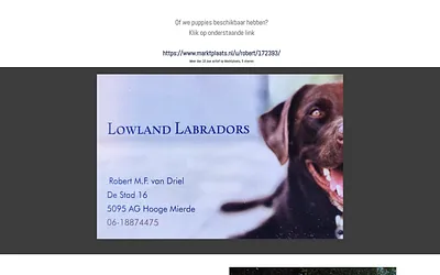 lowlandlabradors.nl snapshot