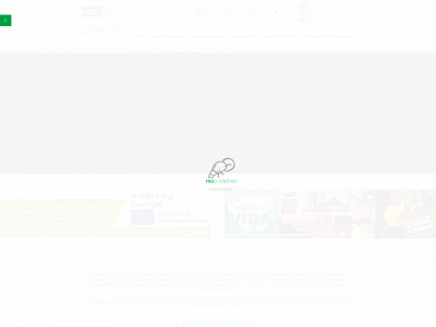 rsuciudadreal.es snapshot