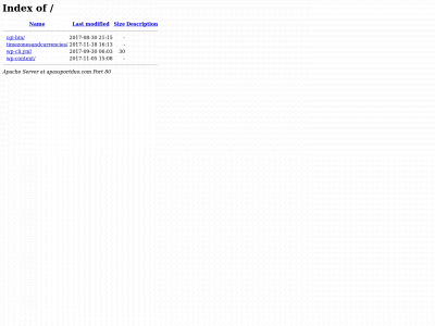 apassportduo.com snapshot