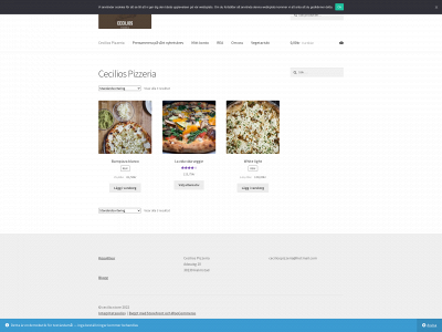 cecilio.store snapshot