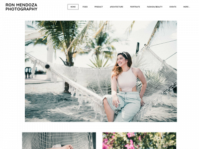 www.ronmendoza.com snapshot