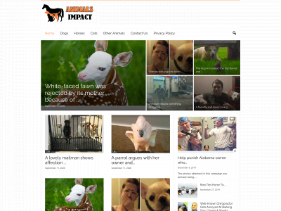 animalsimpact.com snapshot