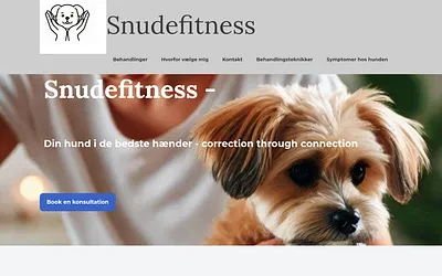 snudefitness.dk snapshot