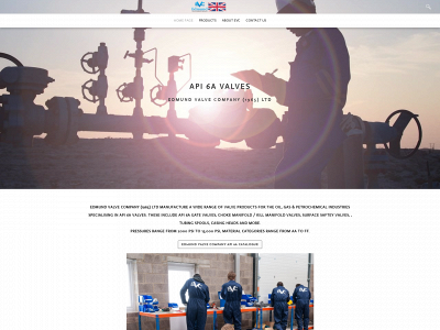 www.api6a-valve.com snapshot