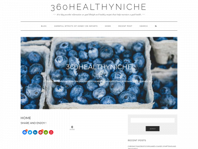 360healthyniche.com snapshot