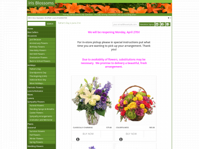 www.irisblossomsclearwater.com snapshot