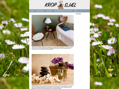 kropogsjaelbyhald.dk snapshot