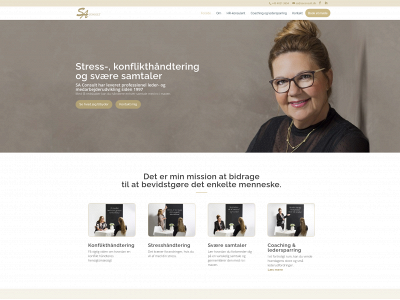 saconsult.dk snapshot