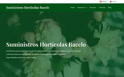 bacelo.es snapshot
