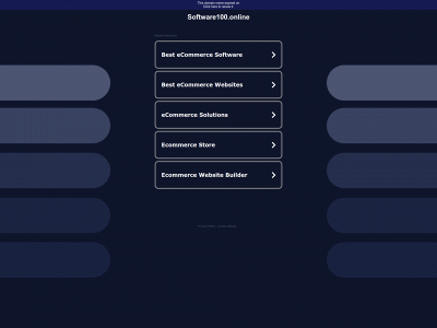 software100.online snapshot