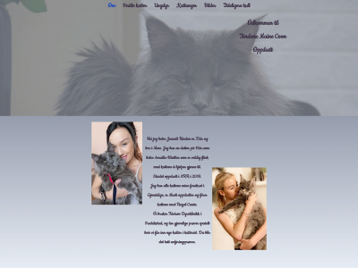 tendenzcattery.no snapshot