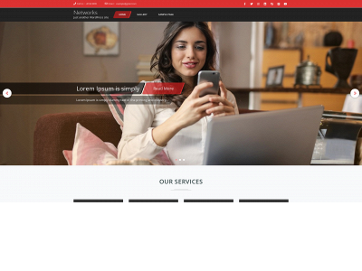 networksteam.net snapshot