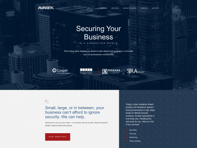 avasek.com snapshot