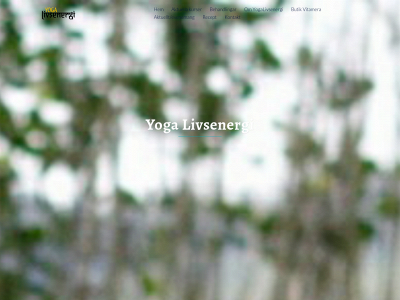 yogalivsenergi.se snapshot