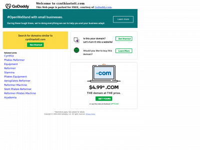 cynthiastott.com snapshot