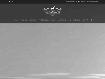 safrandane.com snapshot