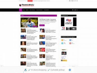 phoenixwolfj.com snapshot