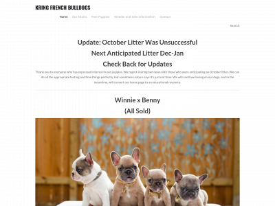 www.divafrenchies.com snapshot